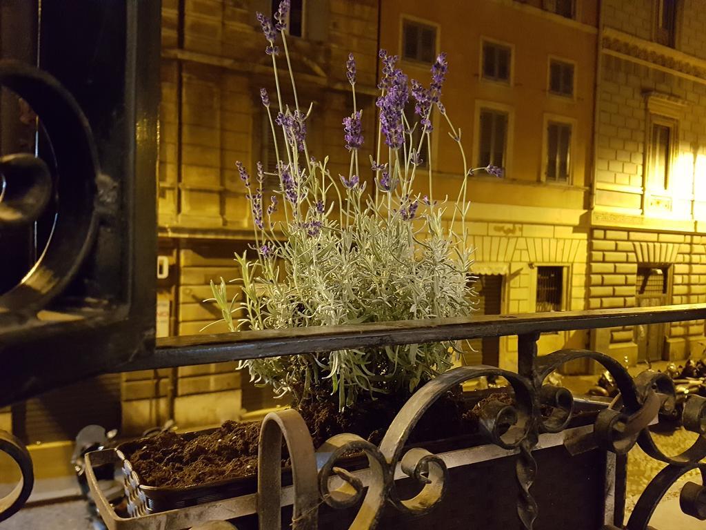 Vila Loft Pantheon Řím Exteriér fotografie